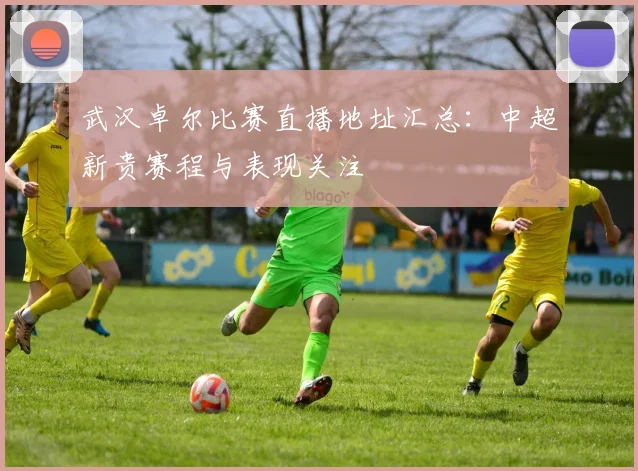 武汉卓尔比赛直播地址汇总：中超新贵赛程与表现关注