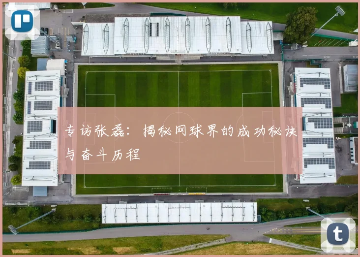 专访张磊：揭秘网球界的成功秘诀与奋斗历程