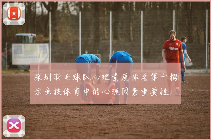深圳羽毛球队心理素质排名第十揭示竞技体育中的心理因素重要性