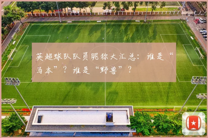 英超球队队员昵称大汇总：谁是“马本”？谁是“野兽”？